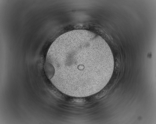 X0000101680659200808071110