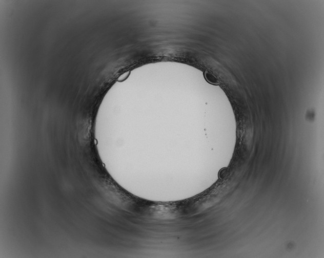 X0000101680660200808071110