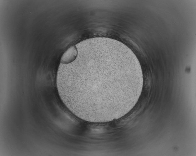 X0000101680661200808071110