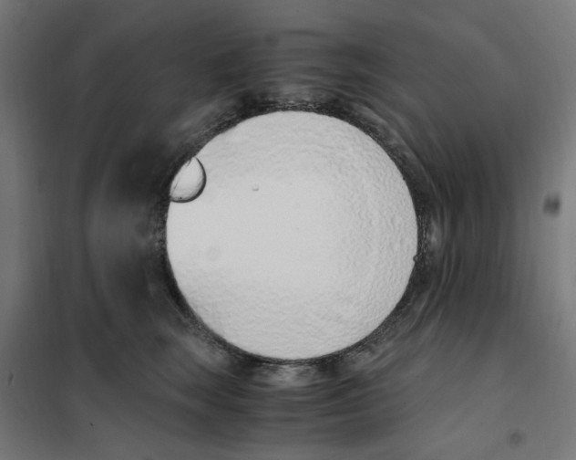 X0000101680663200808071110