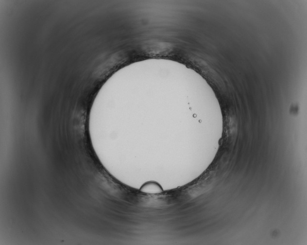 X0000101680664200808071110