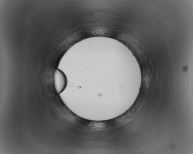 X0000101680665200808071110