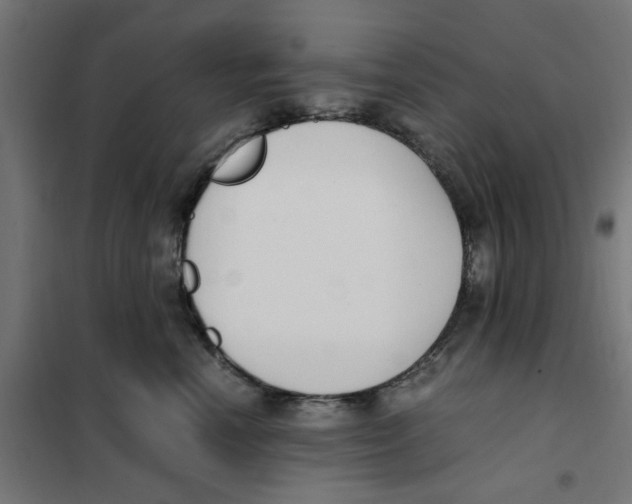 X0000101680666200808071110