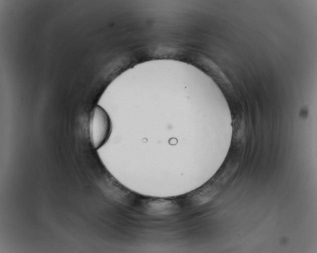 X0000101680669200808071110