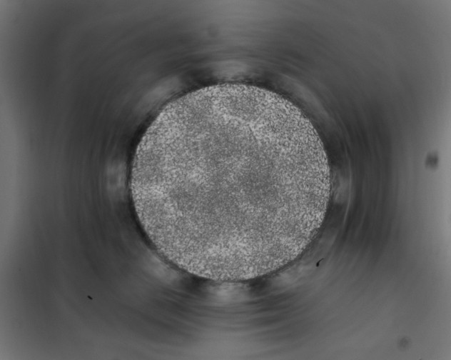 X0000101680670200808071110