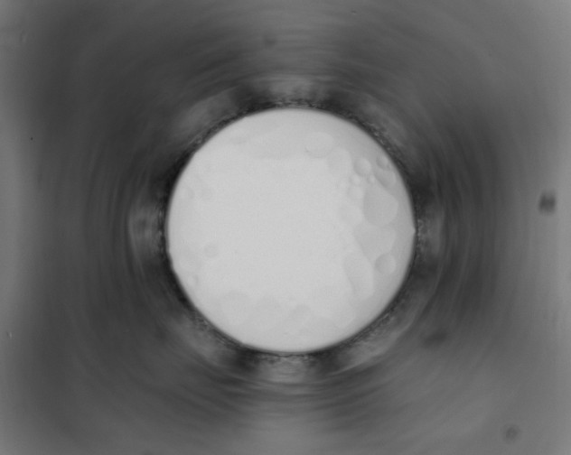 X0000101680671200808071110