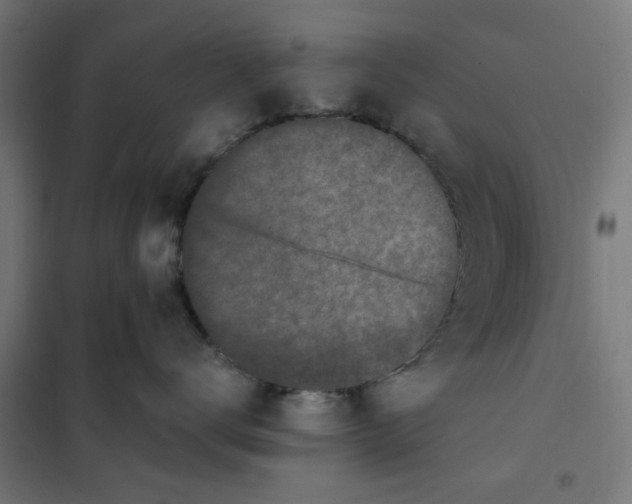 X0000101680672200808071110
