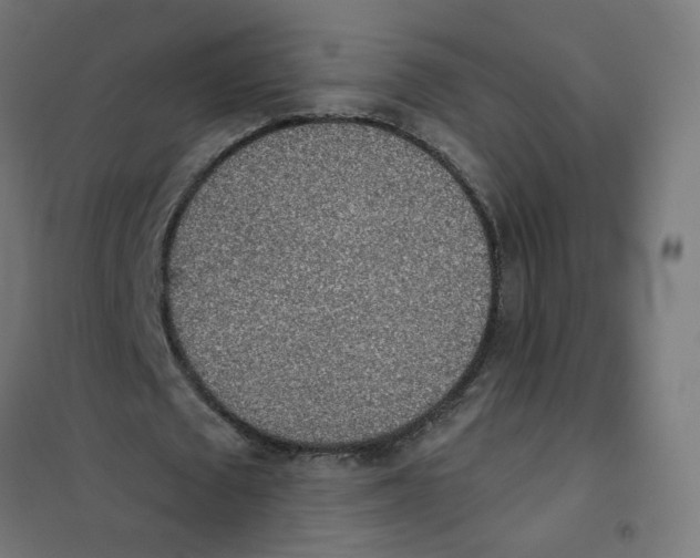 X0000101680673200808071110