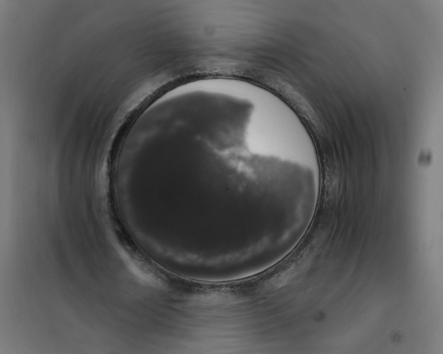 X0000101680674200808071109