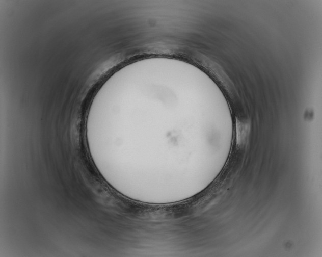X0000101680675200808071109