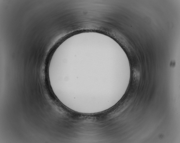 X0000101680676200808071109