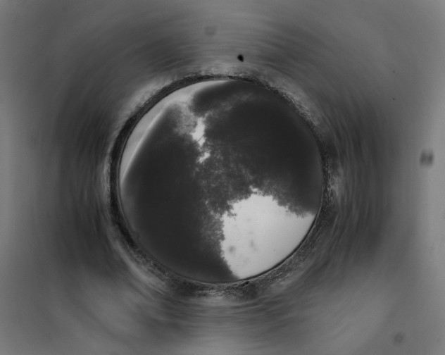 X0000101680678200808071109