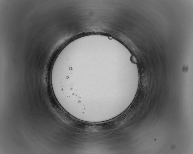 X0000101680680200808071109