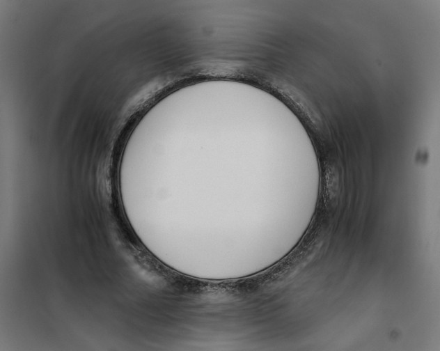 X0000101680682200808071109