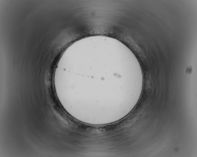 X0000101680683200808071109