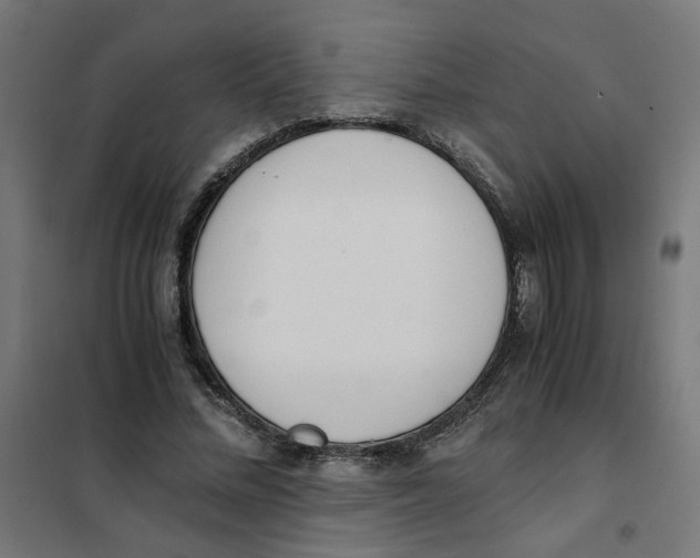 X0000101680684200808071109