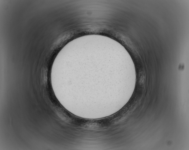 X0000101680685200808071109