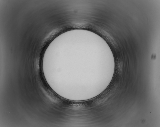 X0000101680686200808071109