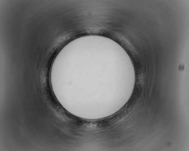 X0000101680687200808071109