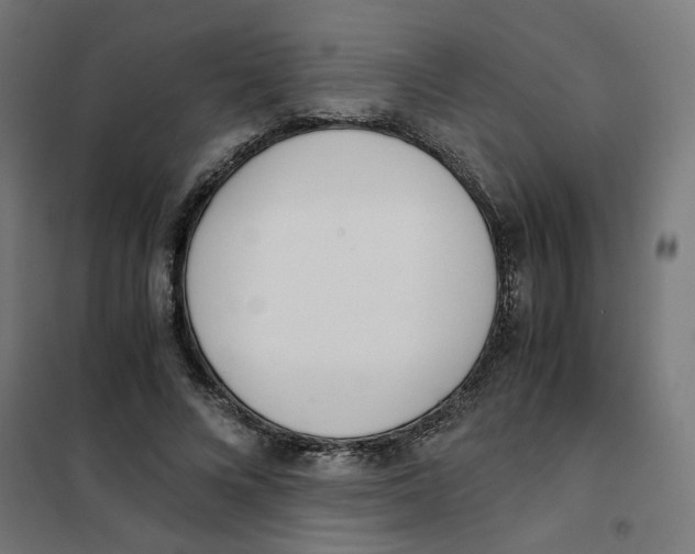 X0000101680688200808071109