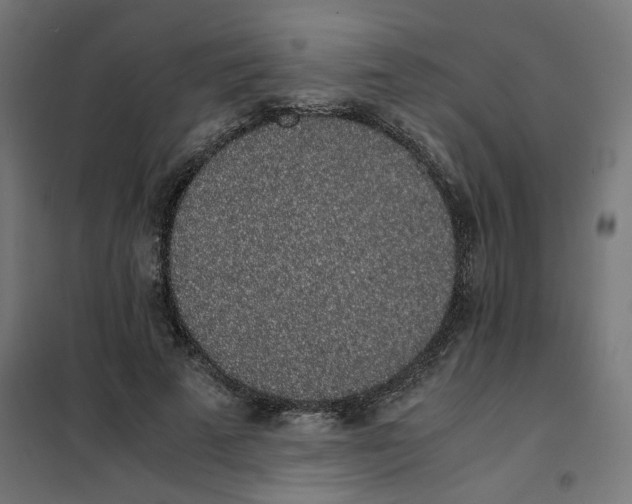 X0000101680689200808071109