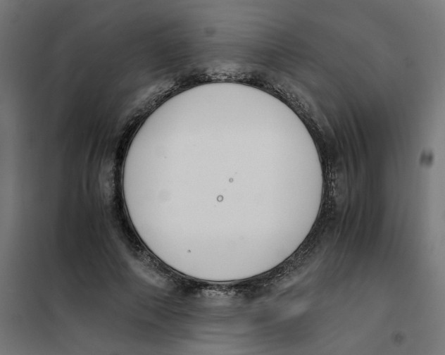 X0000101680690200808071109