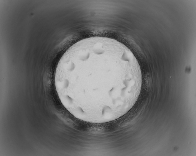 X0000101680691200808071109