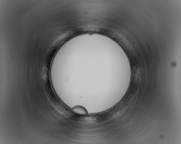 X0000101680692200808071109