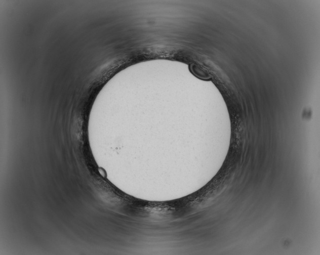 X0000101680693200808071109