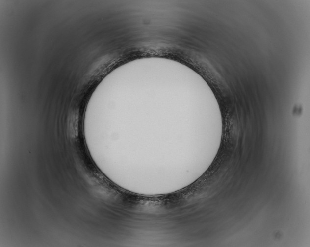 X0000101680694200808071109