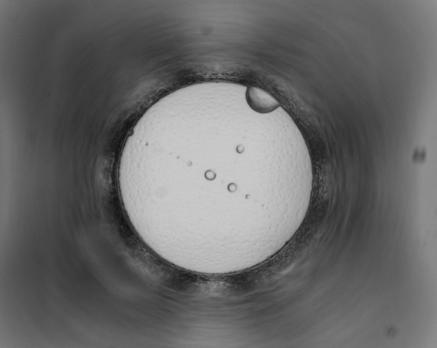 X0000101680695200808071109