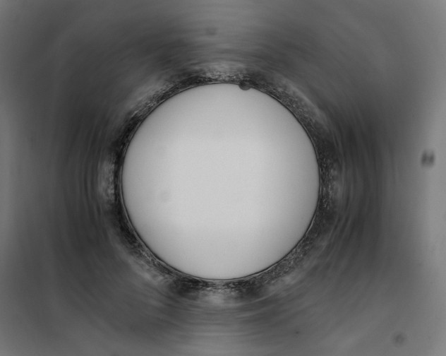 X0000101680696200808071109