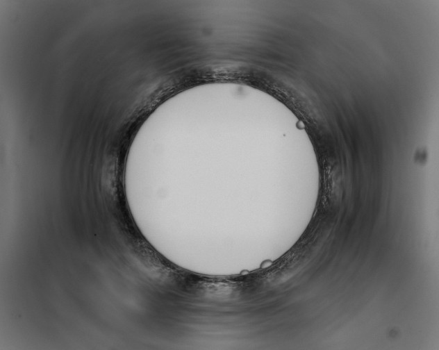X0000101680698200808071109