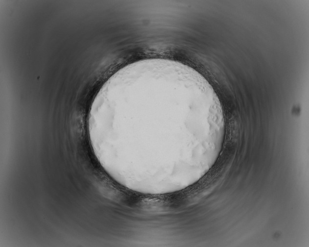 X0000101680699200808071109