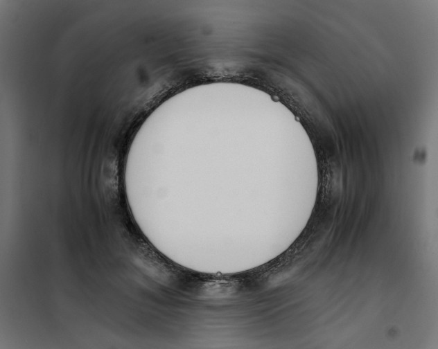 X0000101680700200808071109