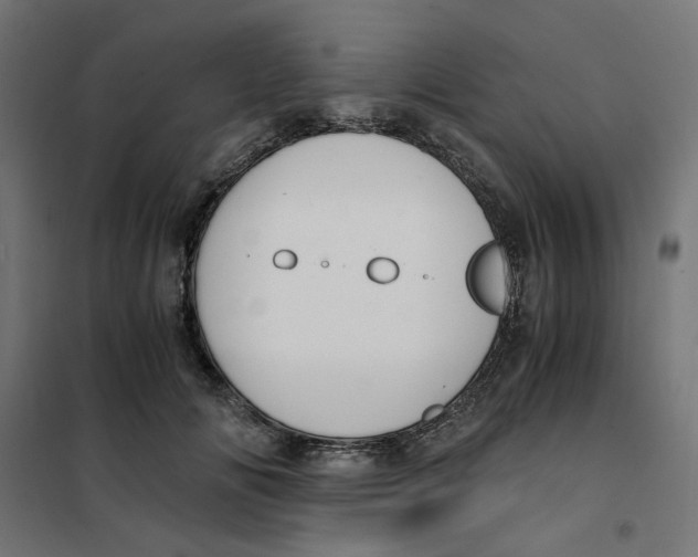 X0000101680702200808071109