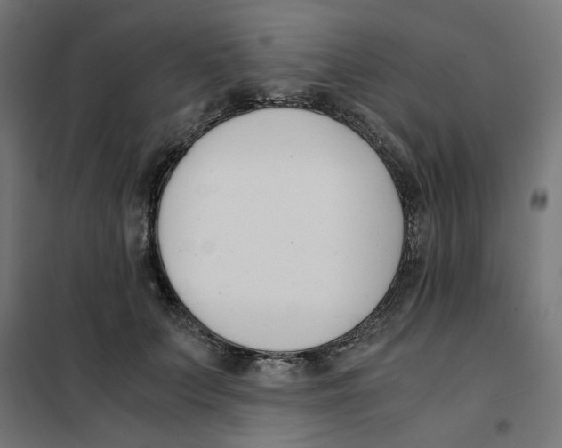 X0000101680703200808071109