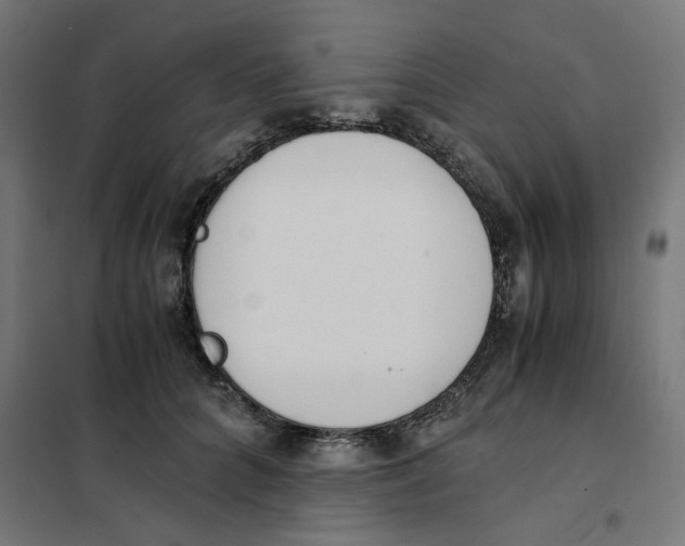 X0000101680704200808071109