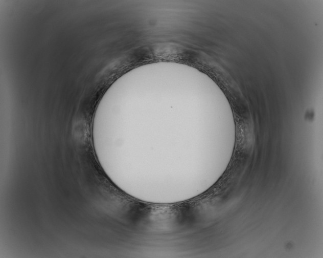 X0000101680705200808071109