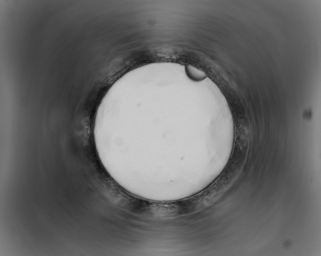 X0000101680707200808071109