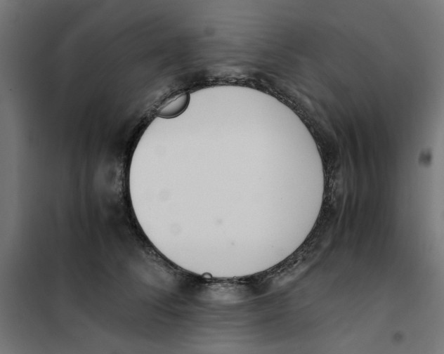 X0000101680708200808071109