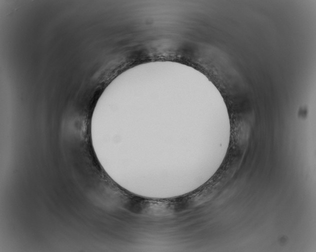 X0000101680709200808071109