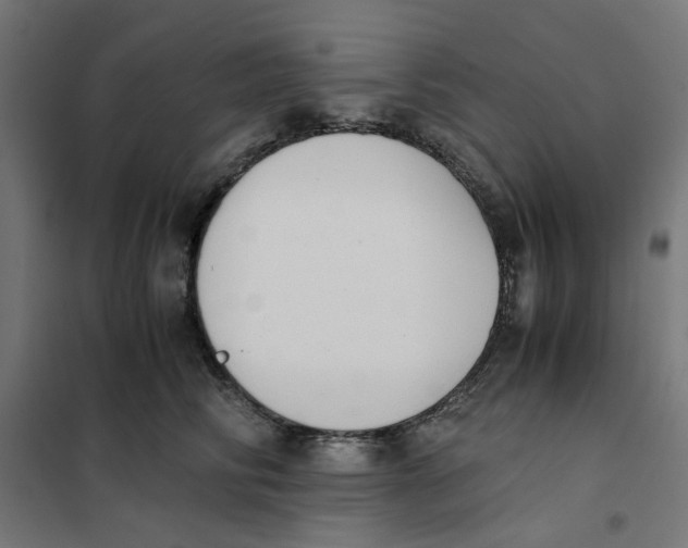 X0000101680710200808071109