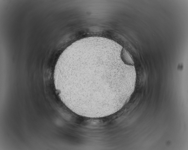 X0000101680711200808071109