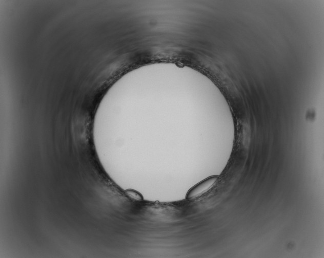 X0000101680712200808071109