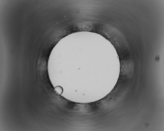 X0000101680713200808071109