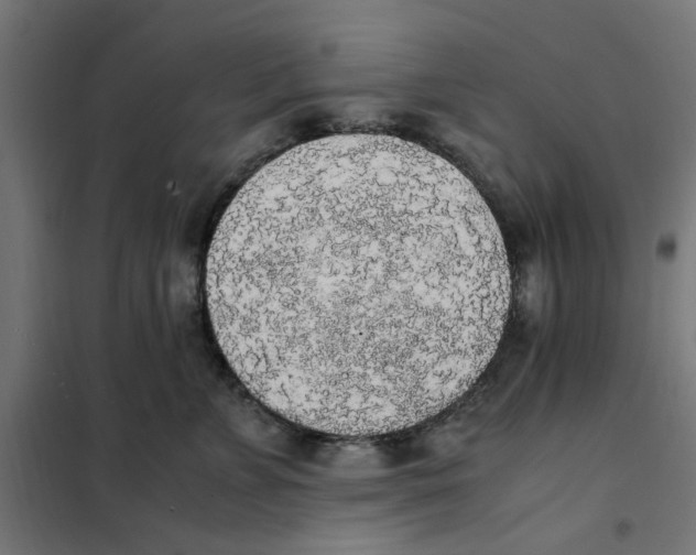 X0000101680715200808071109
