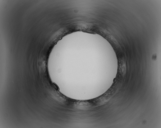 X0000101680716200808071109