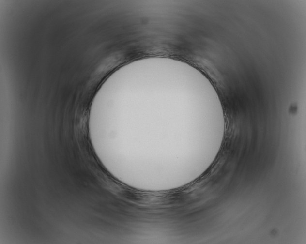 X0000101680717200808071109