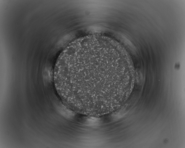 X0000101680718200808071109